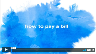 Click link to see and hear video about bill pay system.